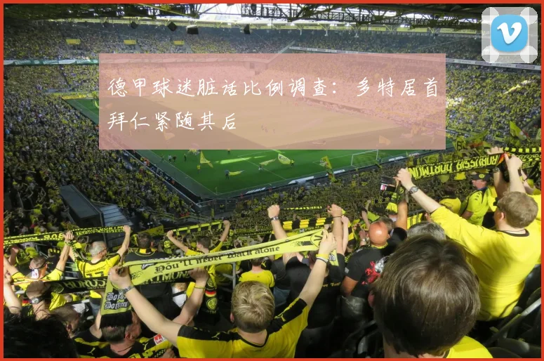 德甲球迷脏话比例调查：多特居首拜仁紧随其后